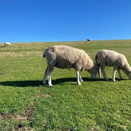 Ferien Am Nordseedeich *
